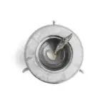OCEAN REEF CAVIAR DISH W/ SPOON &mdash; image 2
