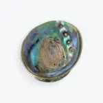 Abalone Shell Silver Accents 6x4 &mdash; image 4