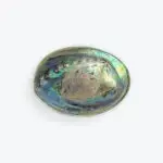 Abalone Shell Silver Accents 6x4 &mdash; image 3