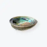Abalone Shell Silver Accents 6x4 &mdash; image 2