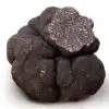 Australian Black Winter Truffles