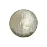 Mother of Pearl Caviar Palette - Silver Sturgeon Rim &mdash; image 1