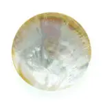 Mother of Pearl Caviar Plates &mdash; image 1