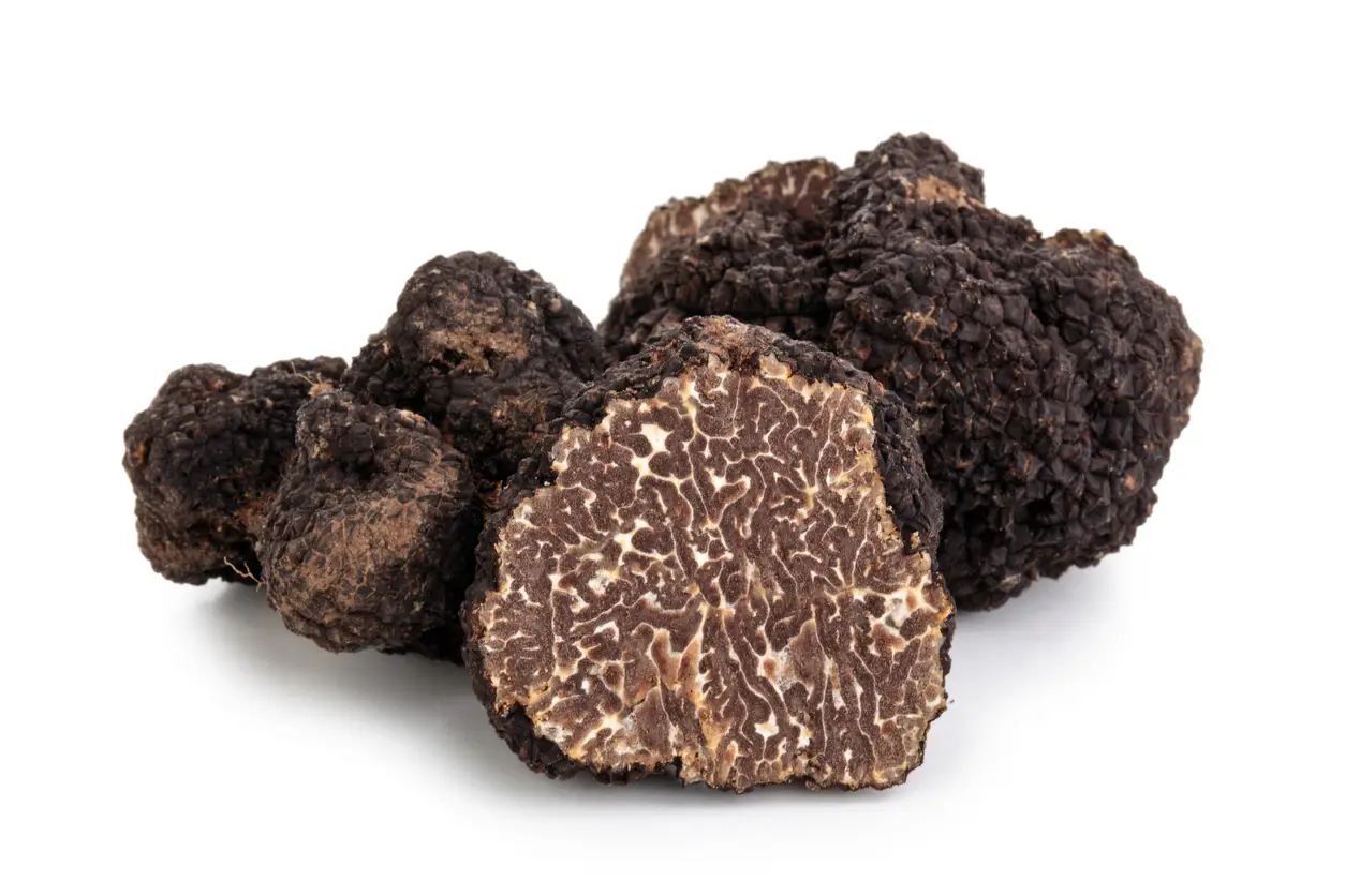 Fresh Burgundy Truffles