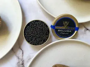 beluga caviar