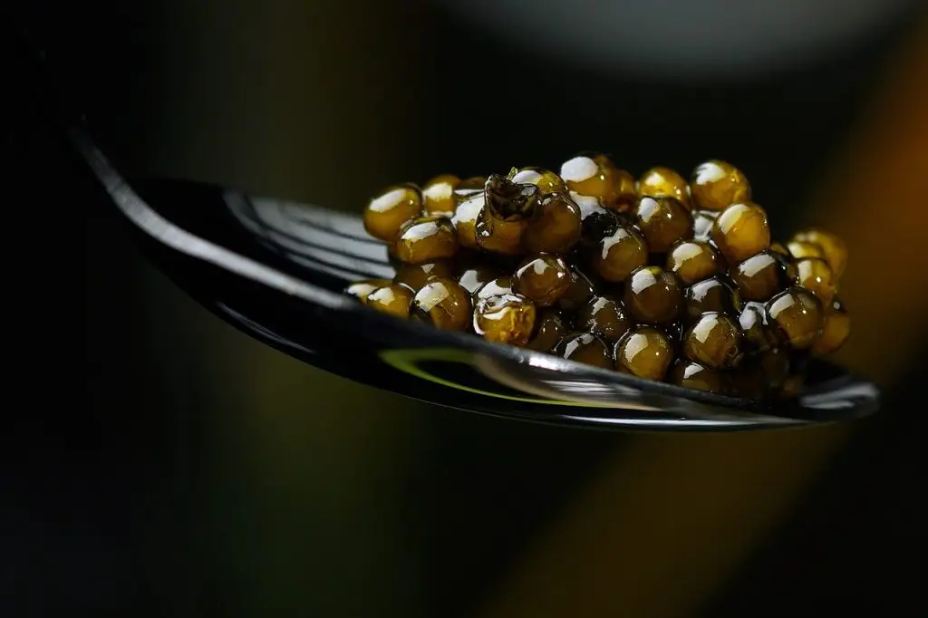 Health benefits of caviar
