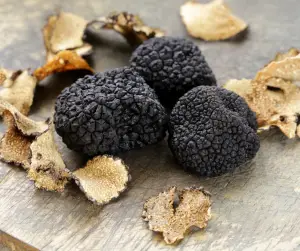 Summer Truffle