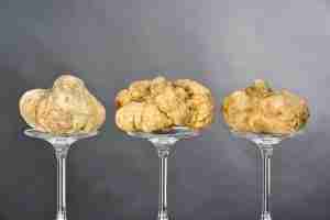 white truffles 