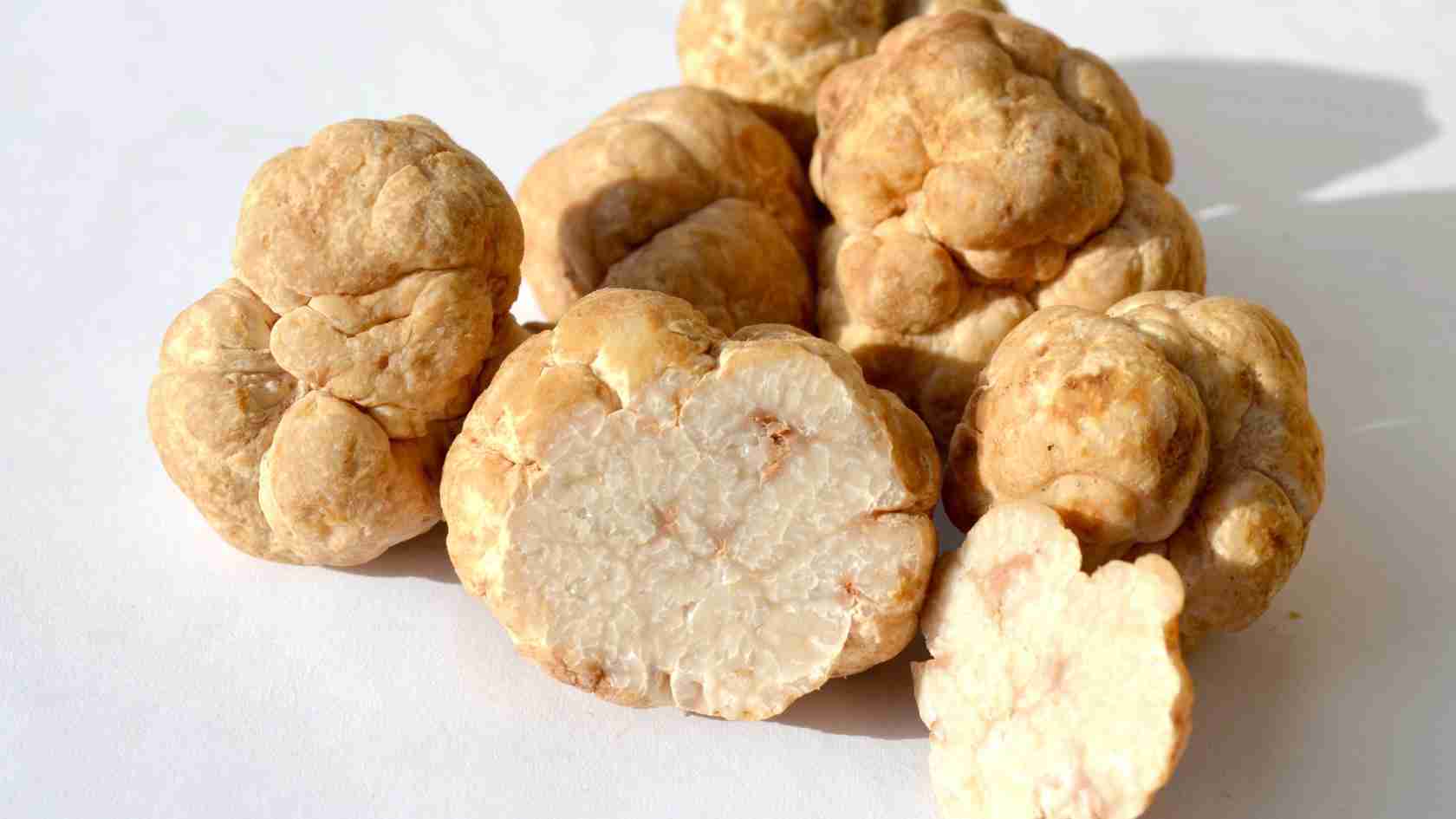 White Truffles - The Diamond of the Kitchen