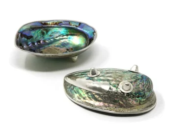 Abalone-Shell-Silver-Accents-6x4-4