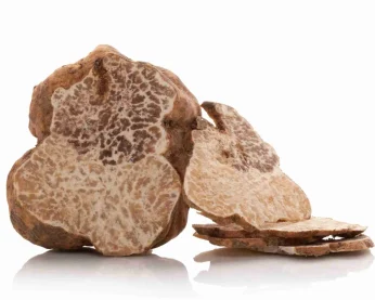 White truffle cross section isolated on white background. Culinary eating.