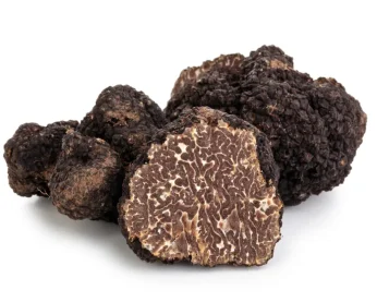 Closeup shot of black truffles and oak leaves isolated on white background.
